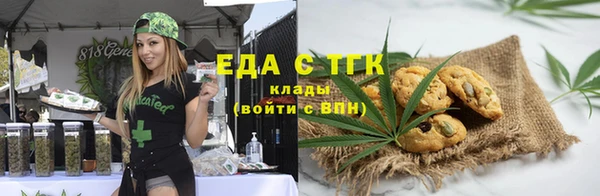 индика Богородск