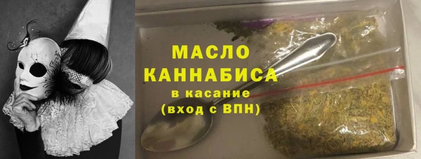 индика Богородск