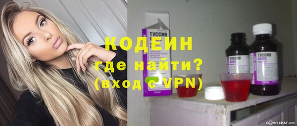 индика Богородск