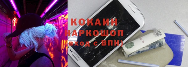 гидра Богданович