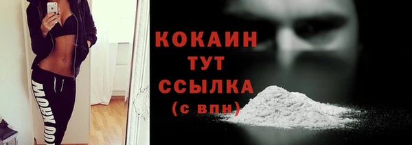 шишки Беломорск