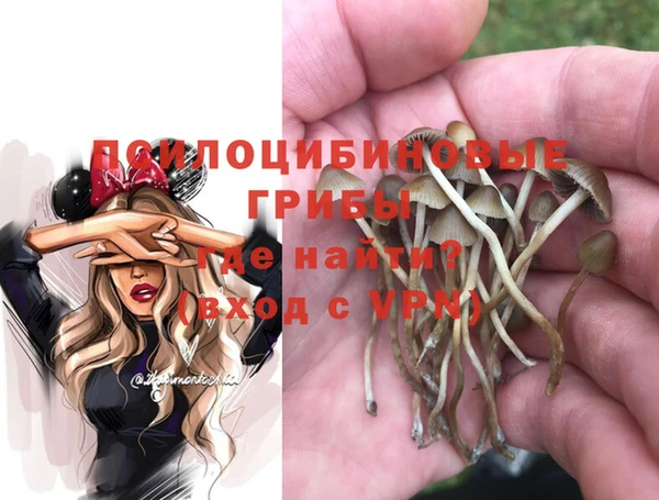 apvp Белокуриха