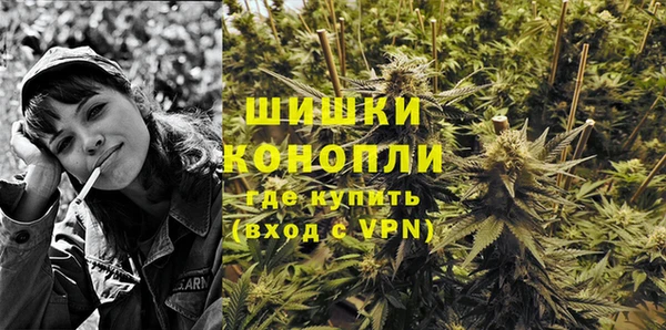 шишки Беломорск