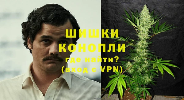 шишки Беломорск