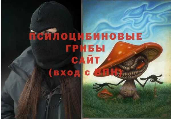гидра Богданович