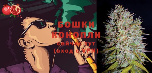 гидра Богданович