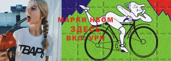 гидра Богданович