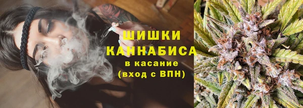 шишки Беломорск