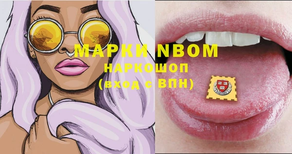 шишки Беломорск