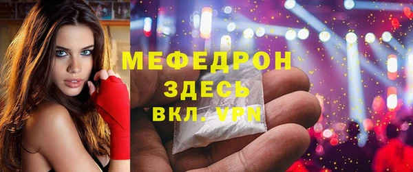 индика Богородск