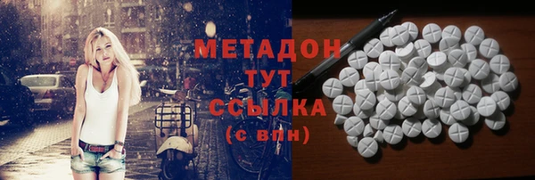 индика Богородск