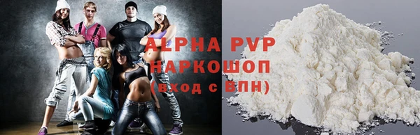 индика Богородск